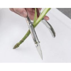 Obieraczka do szparagów stalowa PARING KNIFE