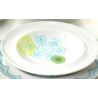 Komplet porcelany obiadowej Herbine dla 6 osób 20 elementów Heywood