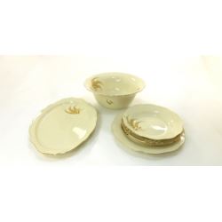 Komplet porcelany obiadowej Pollyanna dla 6 osób 20 elementów Heywood